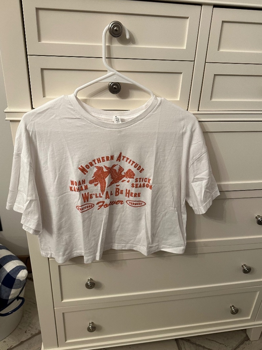 Noah Kahan Cropped Tee